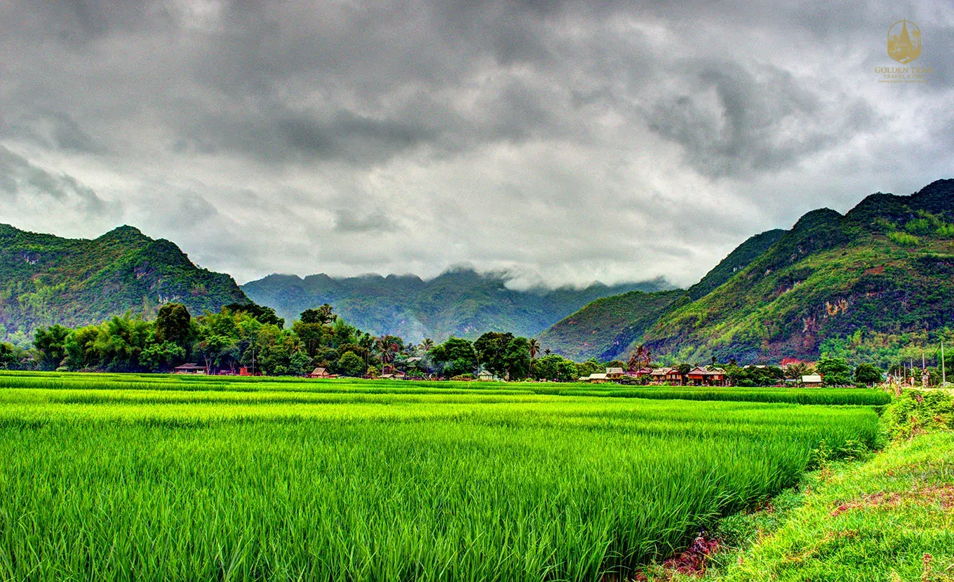 Vietnam Authentic Cultural Tour: 17-Day Trekking, Heritage & Mekong Immersion